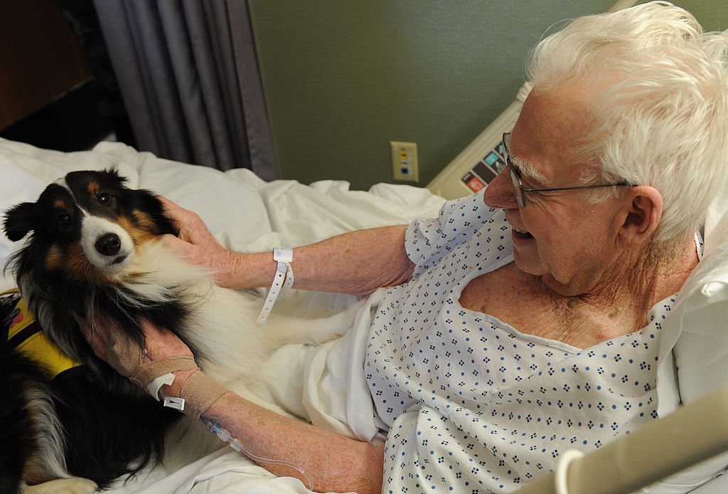 LANGLEY AIR FORCE BASE, Va. -- Gene Mohr, a retired technical sergeant, pets Molly, a 3-year-old Sheltie at Langley Hospital Jan. 30. Mollie does about 10 animal assisted therapy visits throughout the Hampton Roads Area. She has been visiting Langley Air Force Base weekly since January