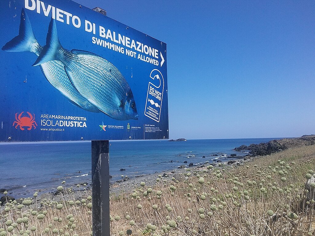 Ustica-a haven for marine wildlife