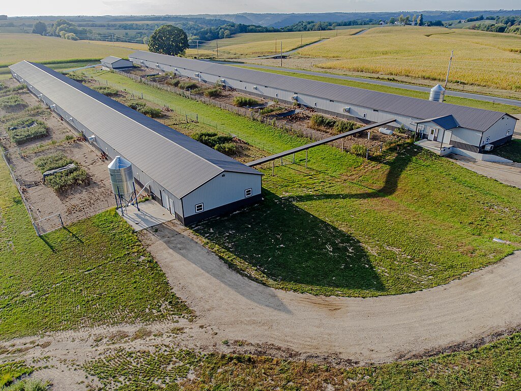 Yarding poultry farm