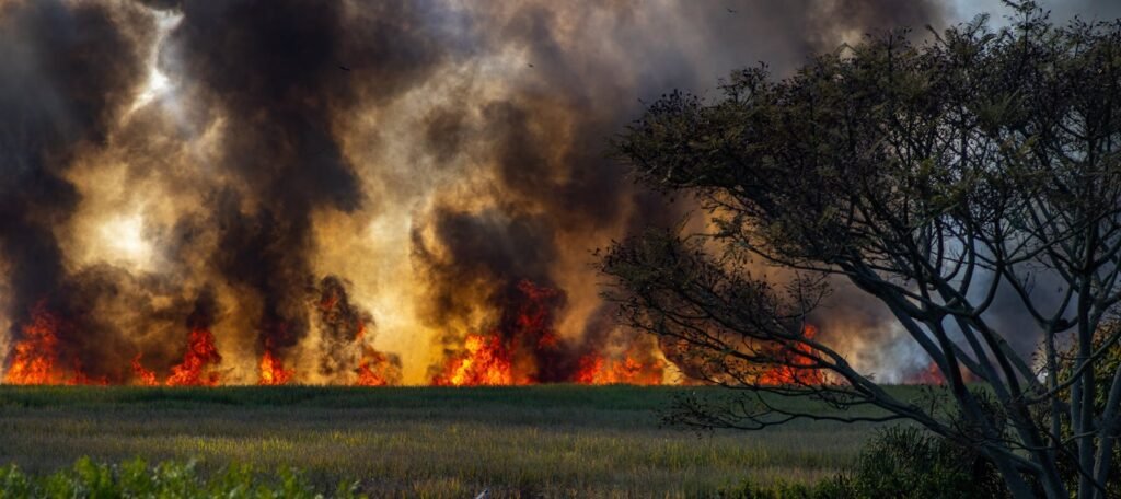 Dynamic image of a wildfire engulfing a countryside field, with thick smoke and flames.
