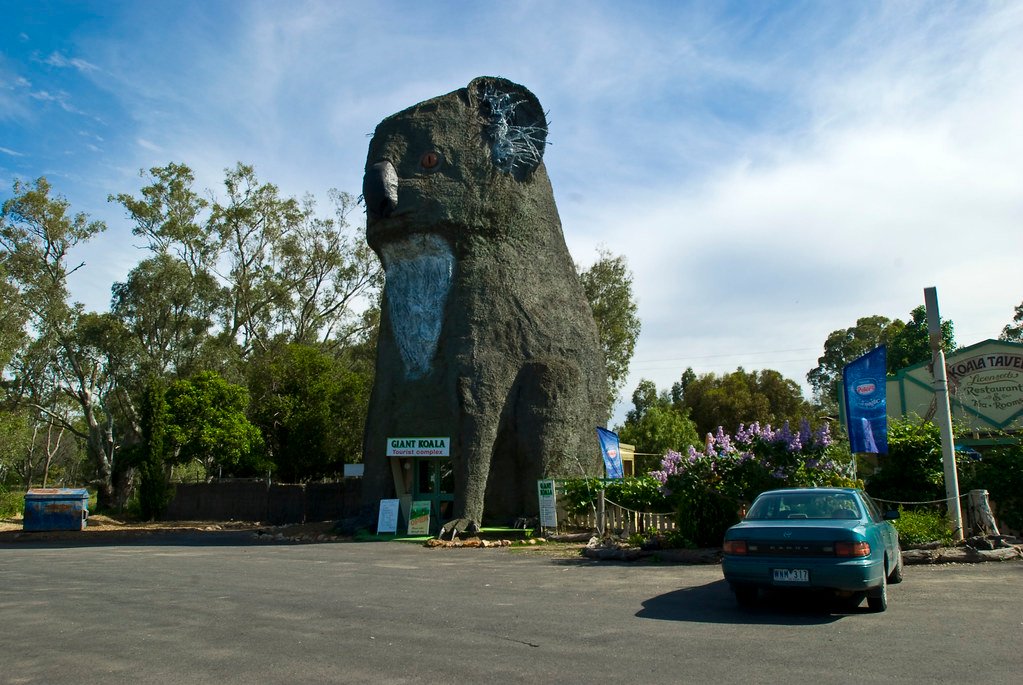 Giant Koala