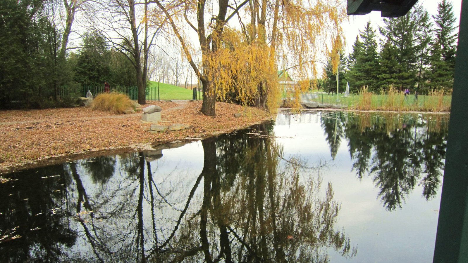 What Can Be Done: Hope on the Horizon? (image credits: wikimedia)