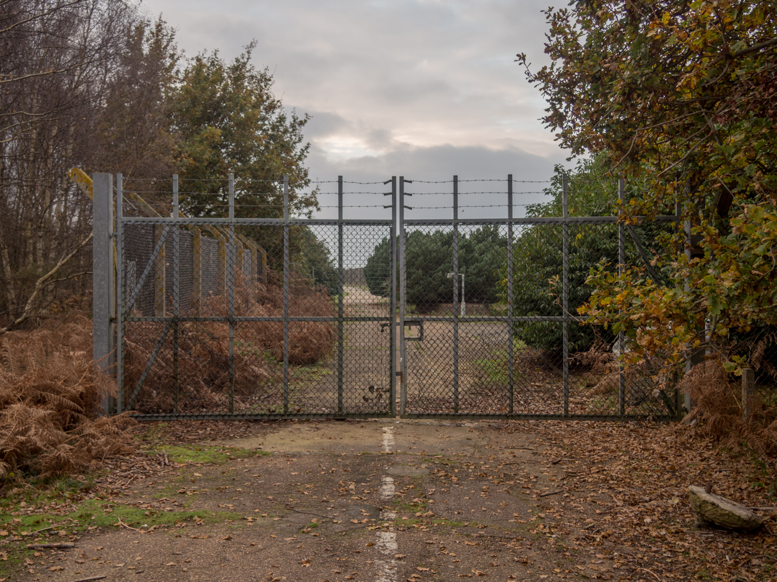 The Rendlesham Forest Incident: Britain’s Roswell or a Cold War Cover-Up?