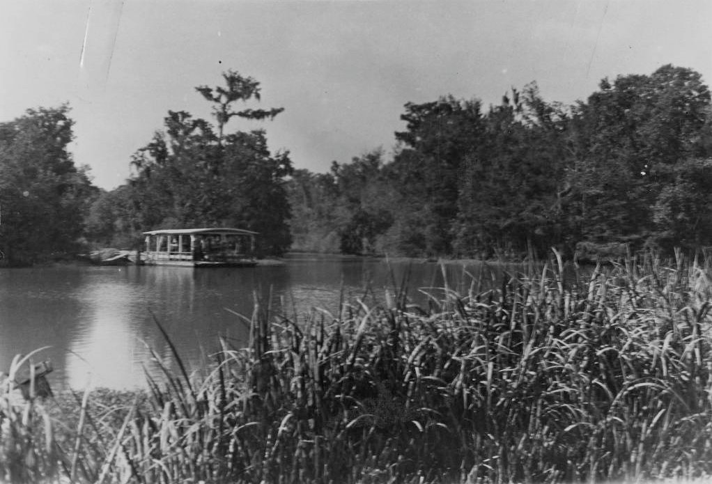 Arrival in the Bayou: First Impressions and Early Struggles (image credits: wikimedia)