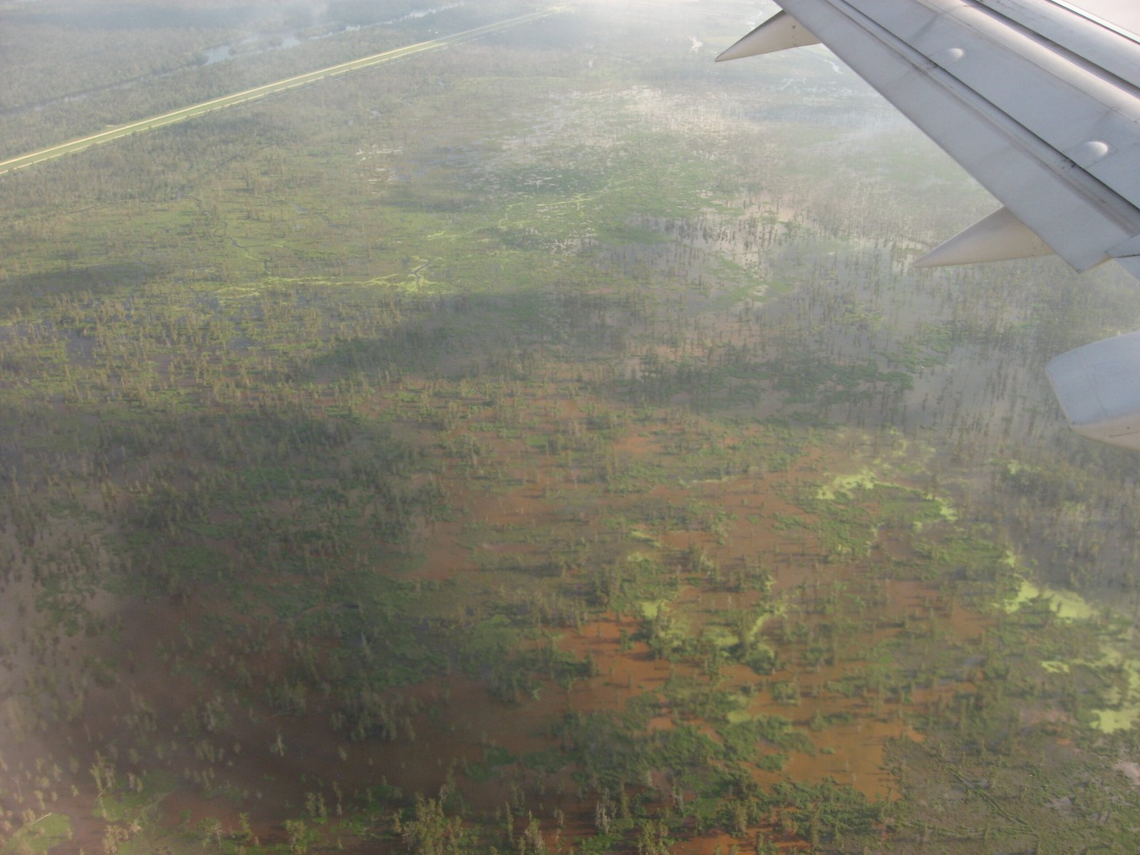 The Natural World: Adaptation and Ingenuity (image credits: wikimedia)