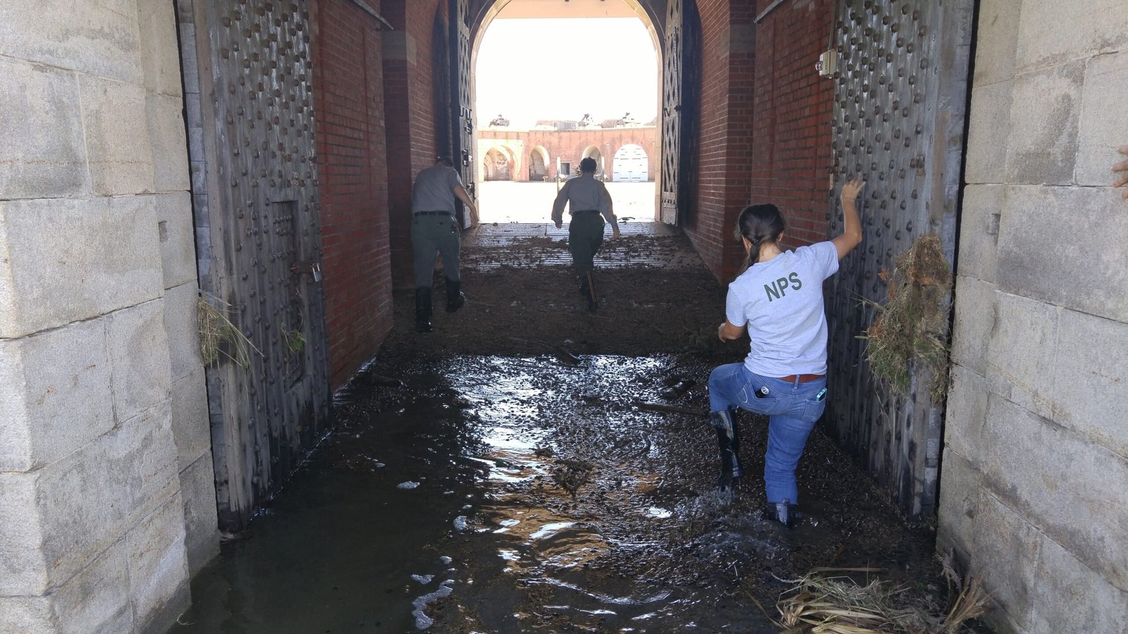 Weathering Storms: Resilience in the Face of Disaster (image credits: wikimedia)