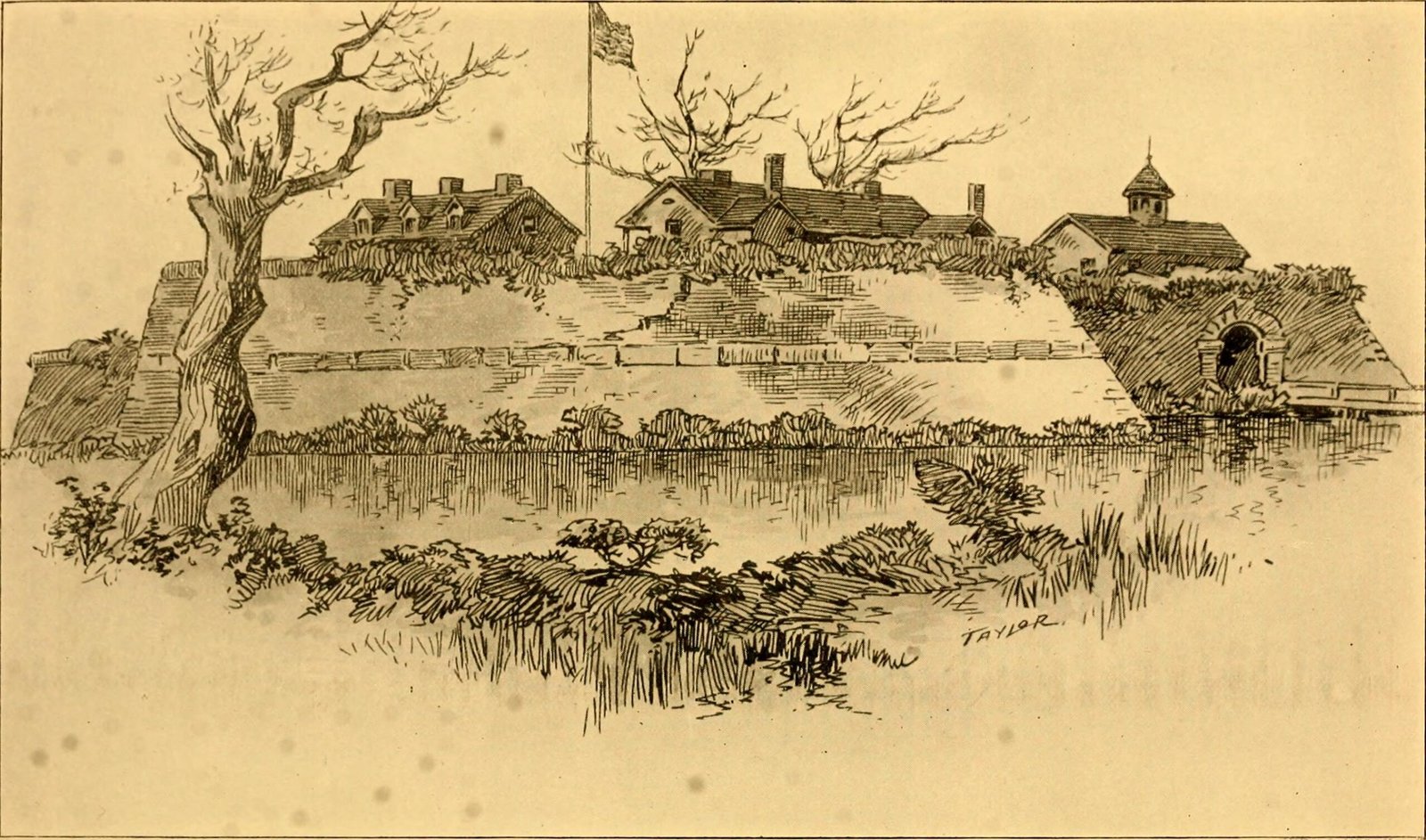 The Battlefield Conditions: A Perfect Storm for the Unusual (image credits: wikimedia)