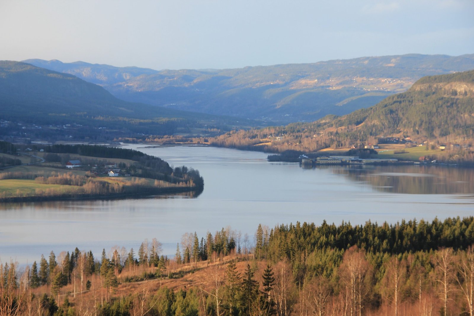 A New Appreciation for Nature’s Soundscape (image credits: wikimedia)