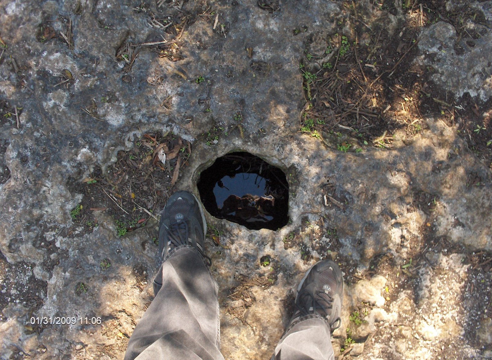 The Landscape Beneath: Florida’s Hidden Underworld (image credits: wikimedia)