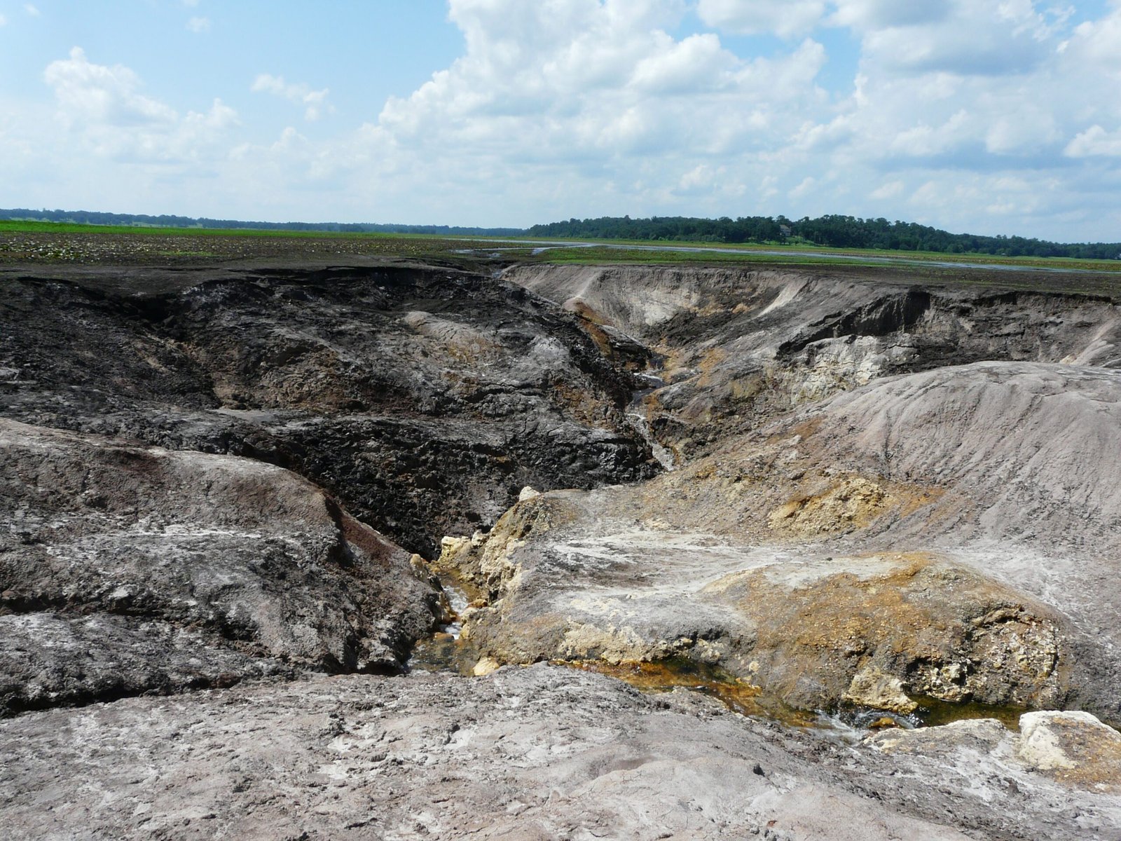 Living with the Threat: How Floridians Cope (image credits: wikimedia)