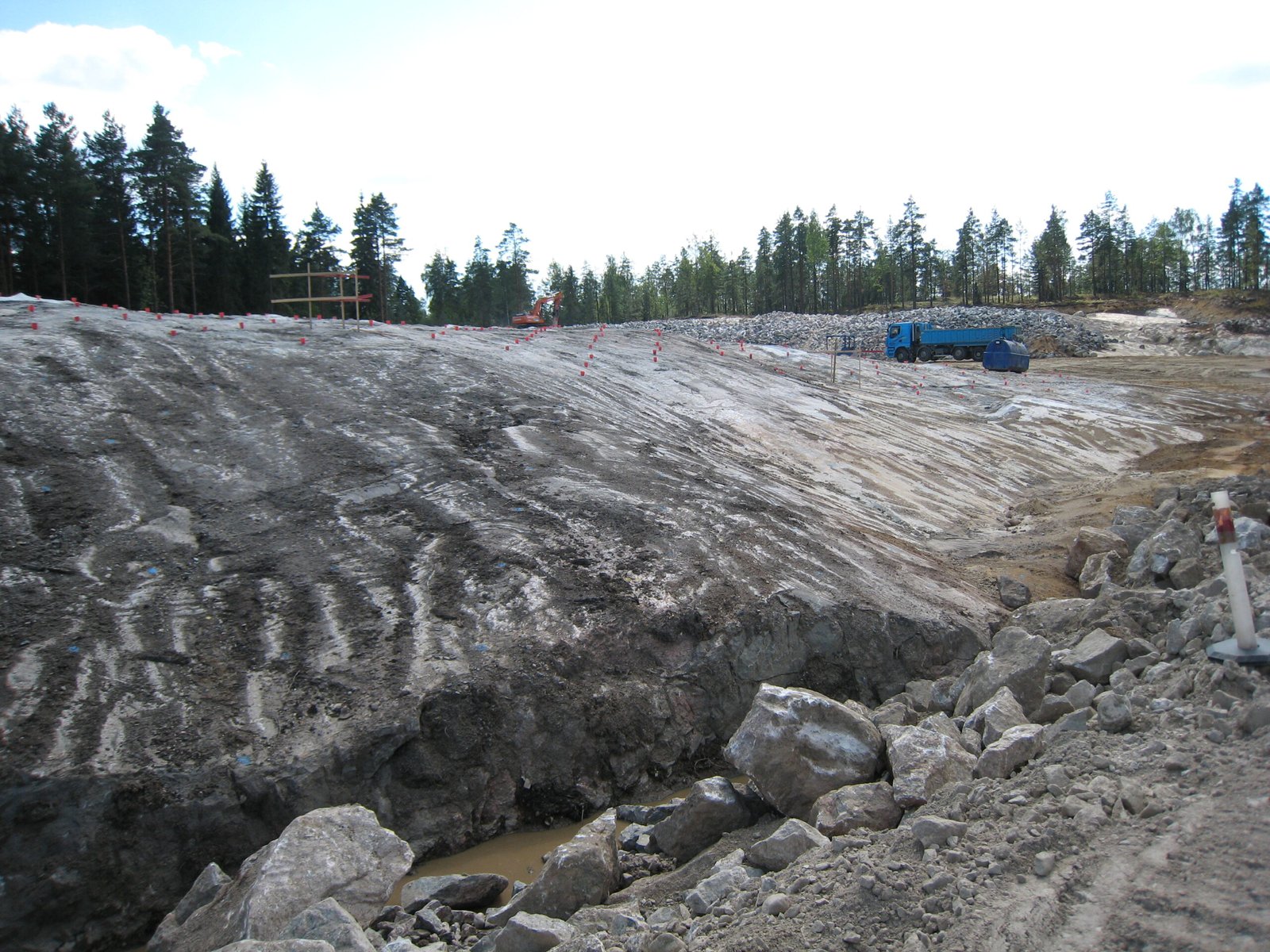 Nature’s Real Responses: From Forest Dieback to Wildlife Displacement (image credits: wikimedia)