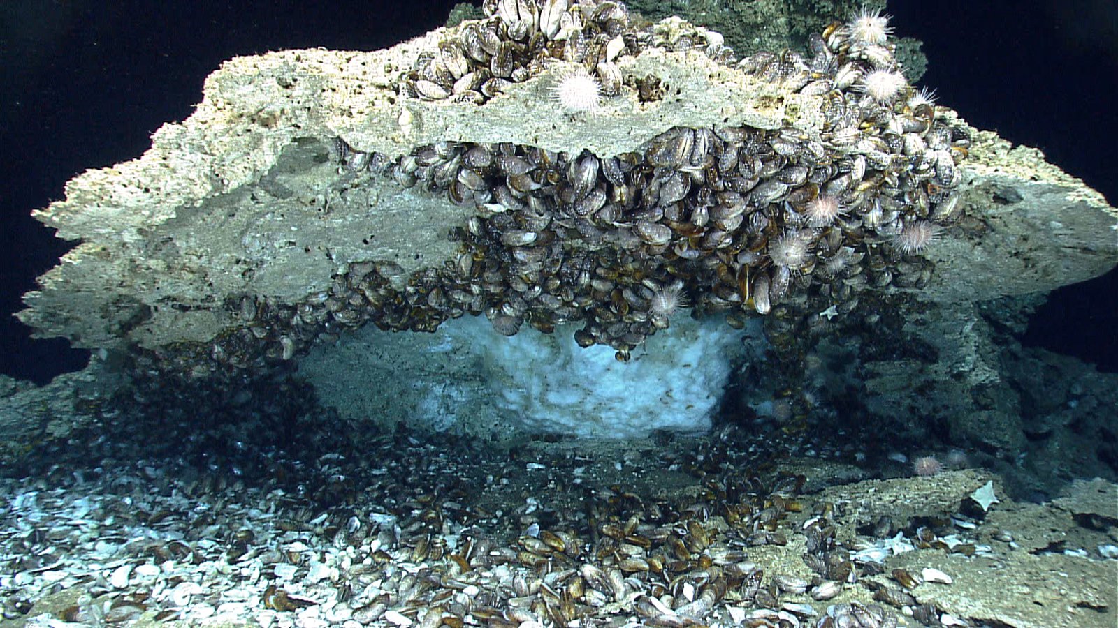 What Is Methane Hydrate? (image credits: wikimedia)