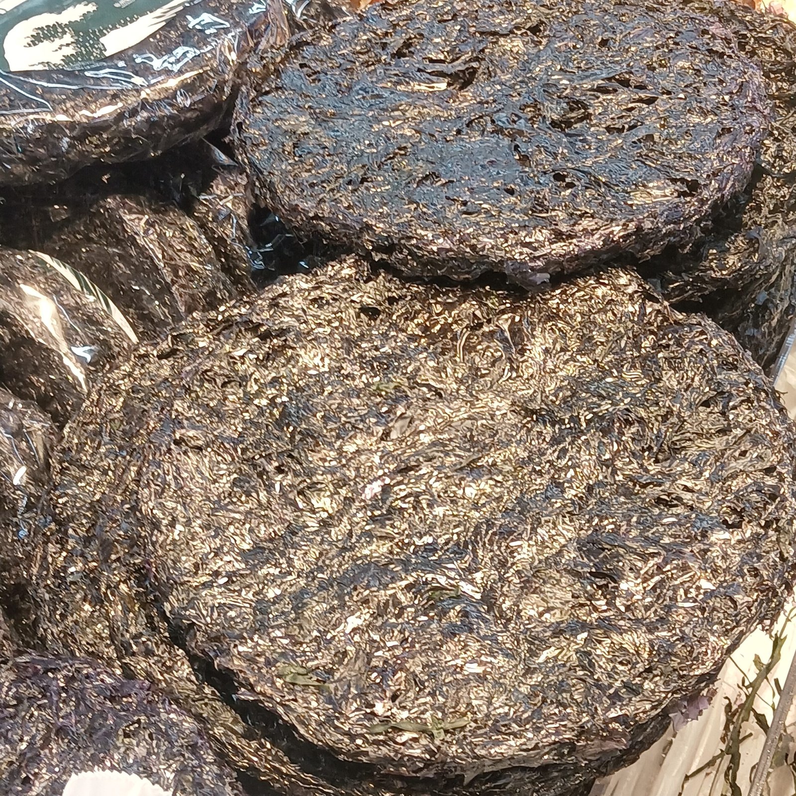 Meet the Marvel: Pyropia, the Indestructible Seaweed (image credits: wikimedia)