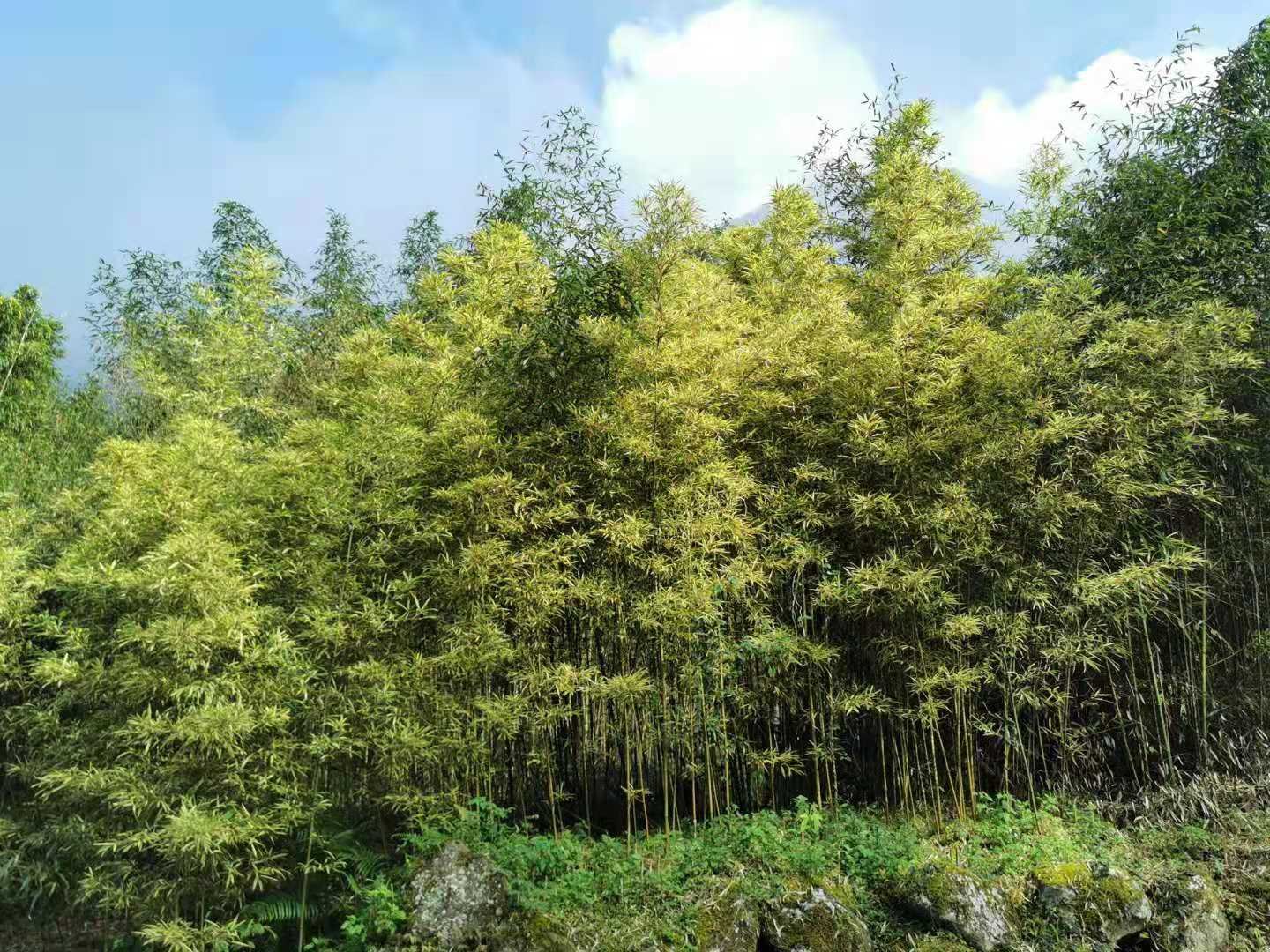 The Role of Education and Awareness (image credits: wikimedia)