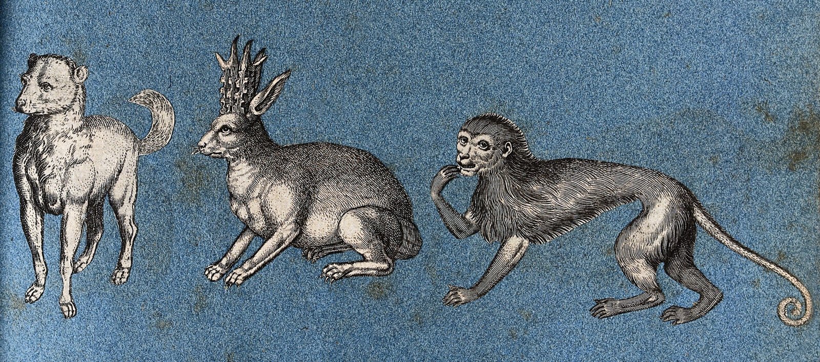 Legends and Lore: Creatures of Myth and Mystery (image credits: wikimedia)