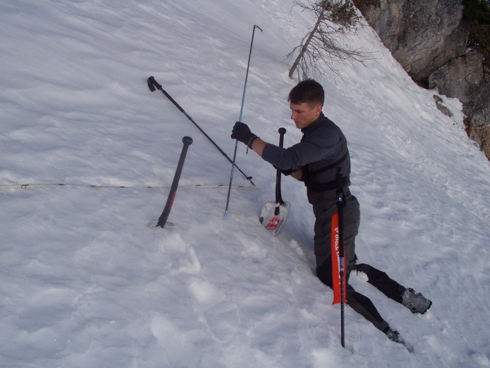 Modern Investigations: New Science, Old Questions (image credits: wikimedia)