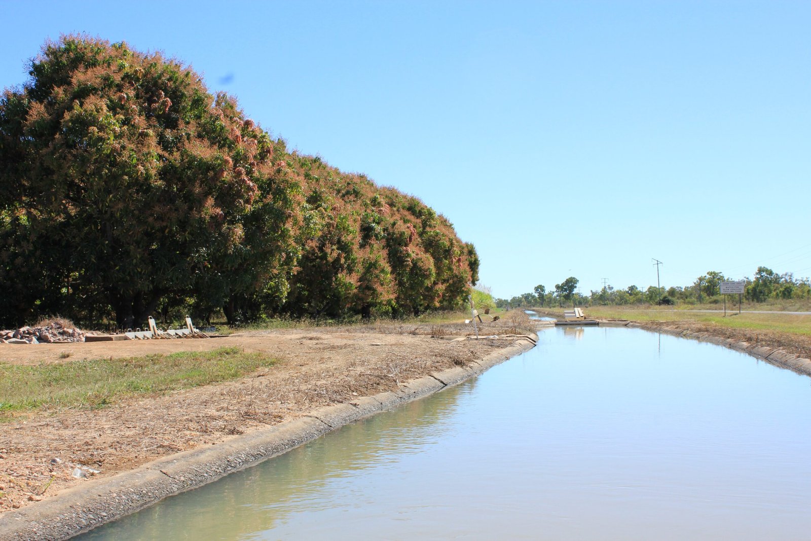 Agricultural Abundance in a Dry Land (image credits: wikimedia)