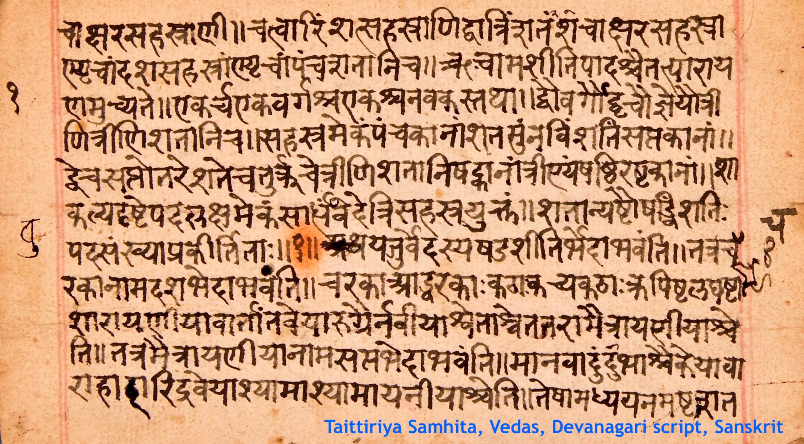 The Secret Codes of Endangered Scripts—And the People Saving Them