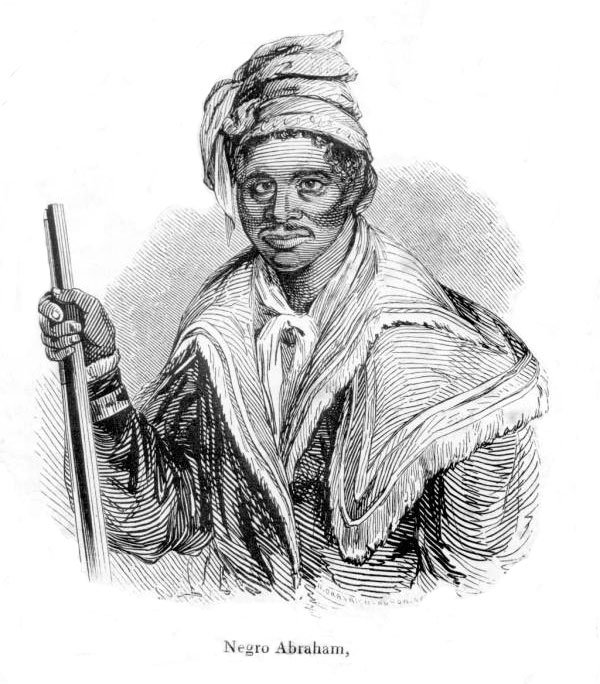 The First Encounters: Forging an Alliance with the Seminole People (image credits: wikimedia)