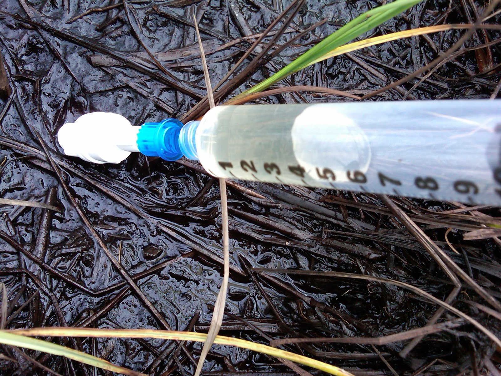 Modern Tools for Ancient Mysteries: How Scientists Study Permafrost Life (image credits: wikimedia)