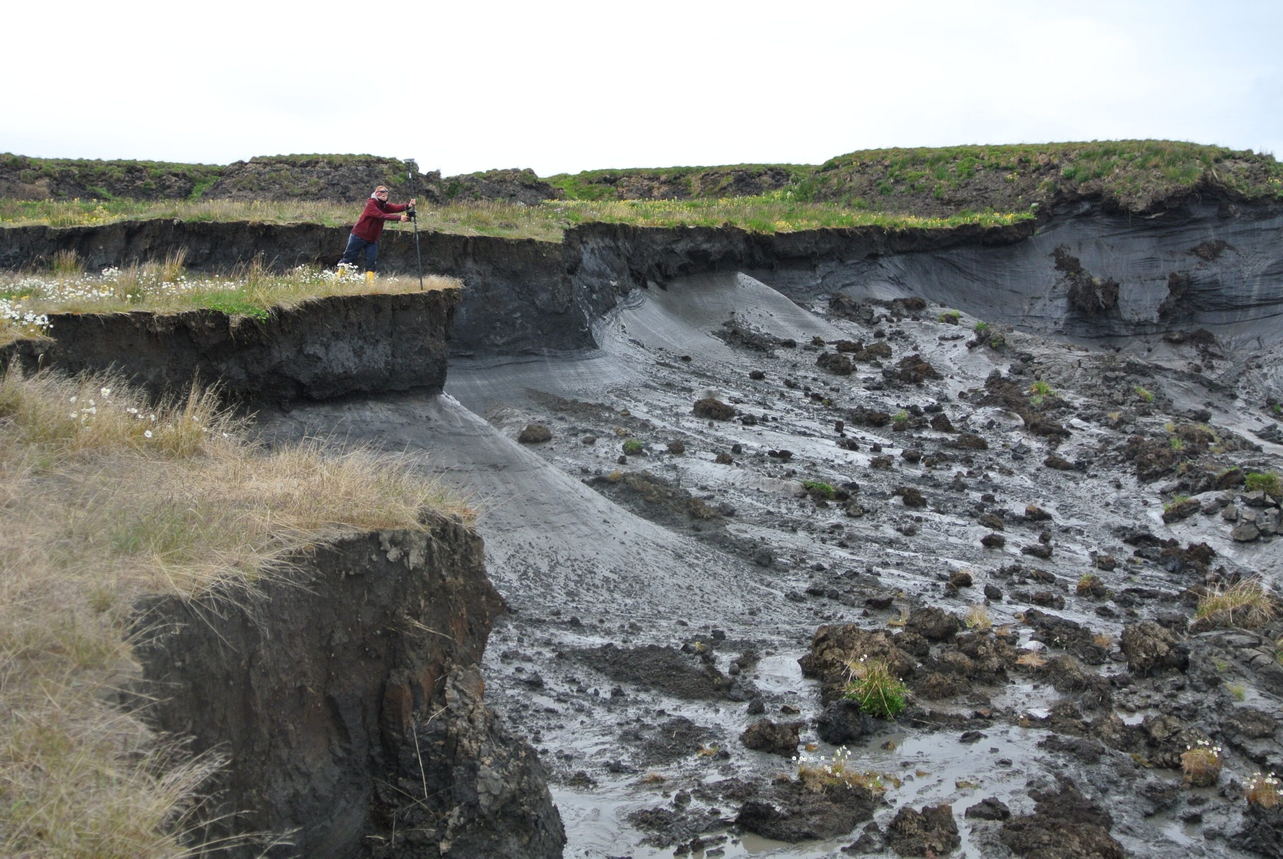 What’s Lurking in Permafrost? The Microbes and Viruses Being Unfrozen by Climate Change