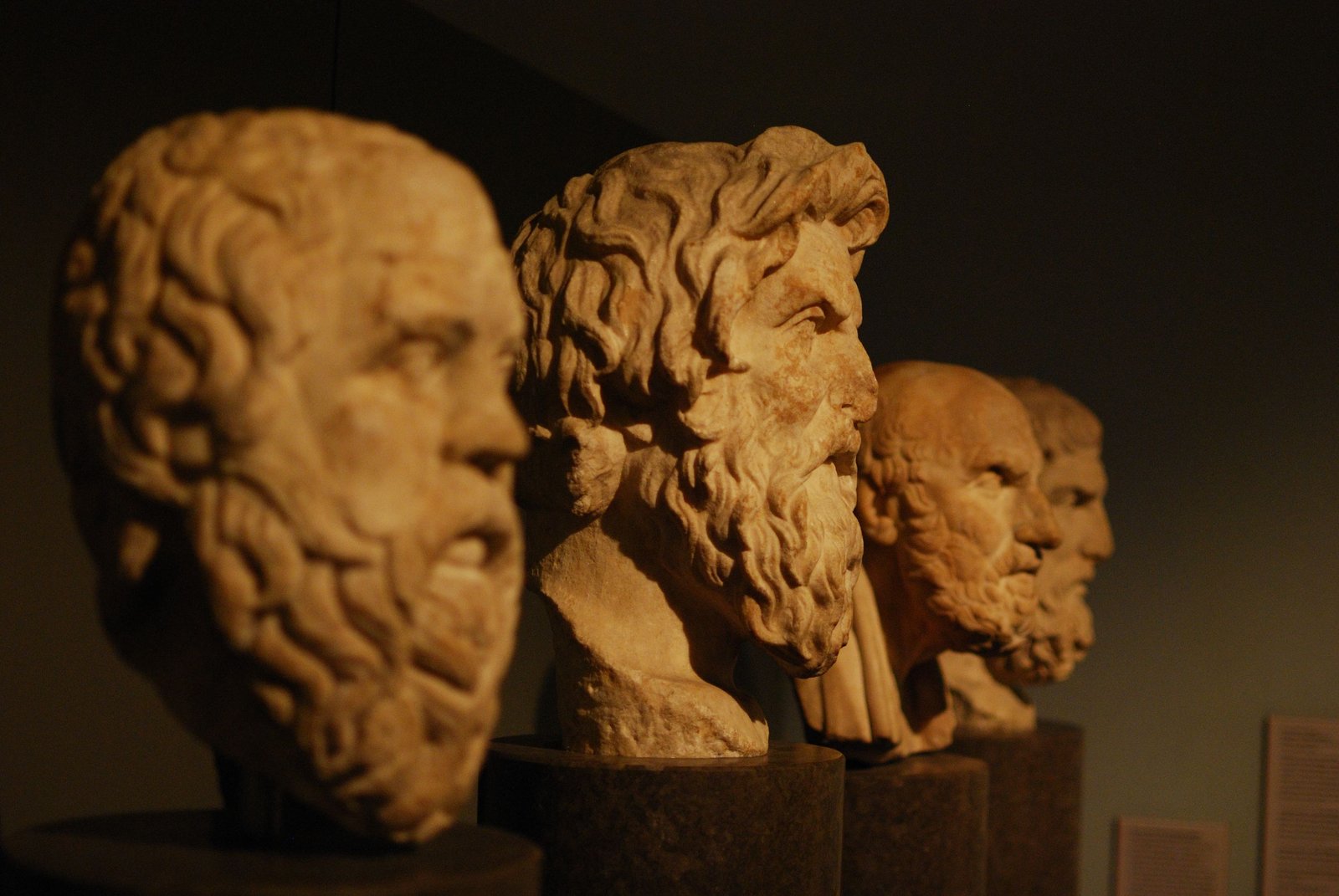The Ancient Roots of Consciousness (image credits: wikimedia)