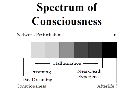 AI and the Mirror Test: Self-Awareness in Machines (image credits: wikimedia)