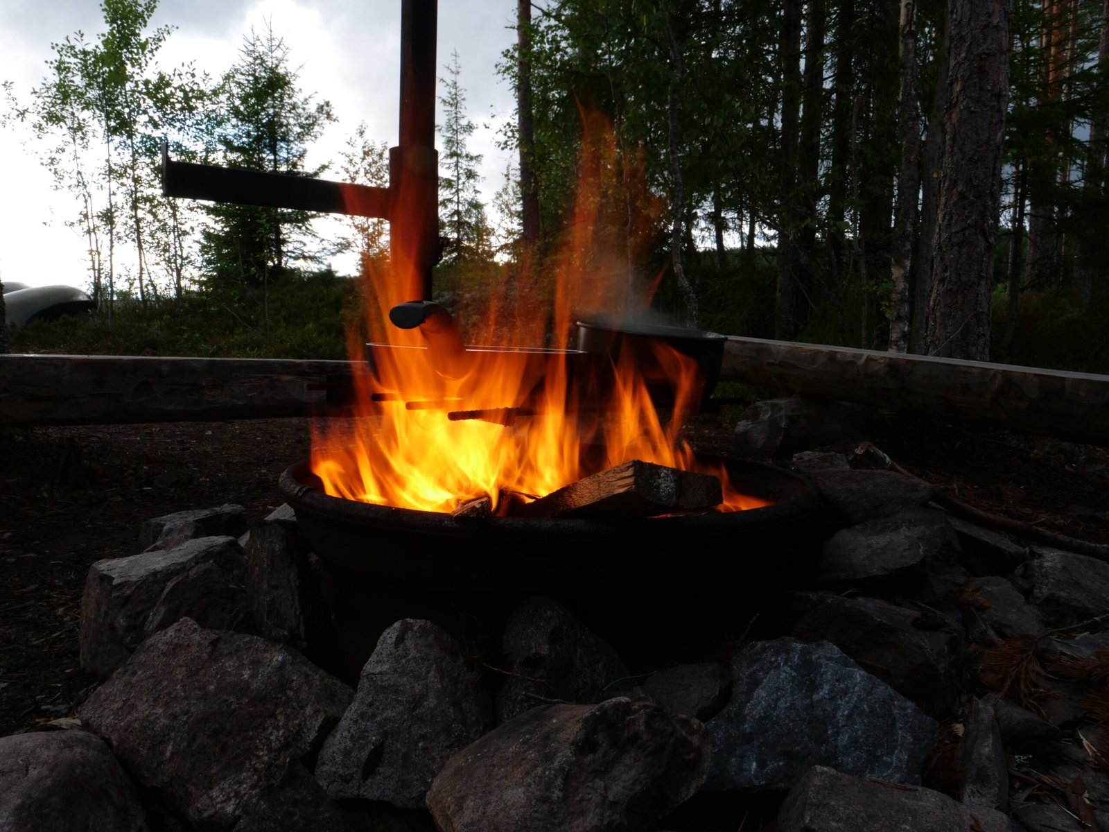 Fire and Flavor: The Game-Changer in Human Diets (image credits: wikimedia)