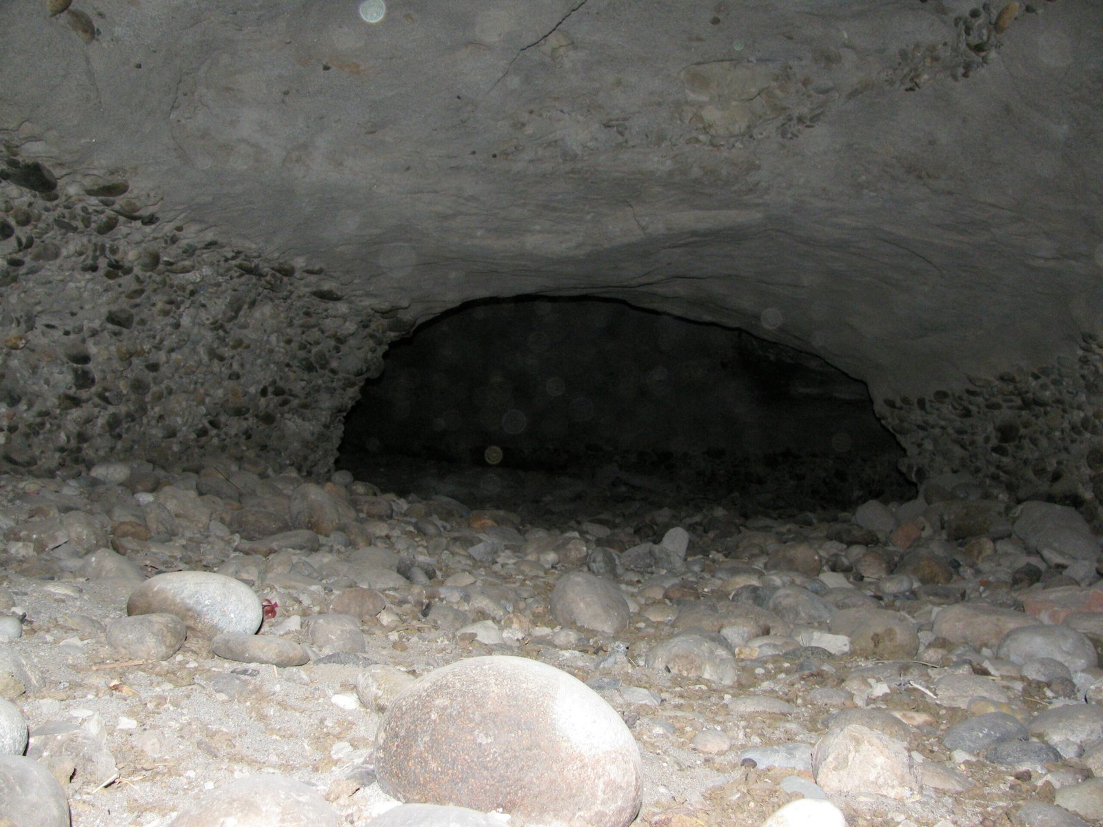Life Thriving in the Cave’s Breath (image credits: wikimedia)