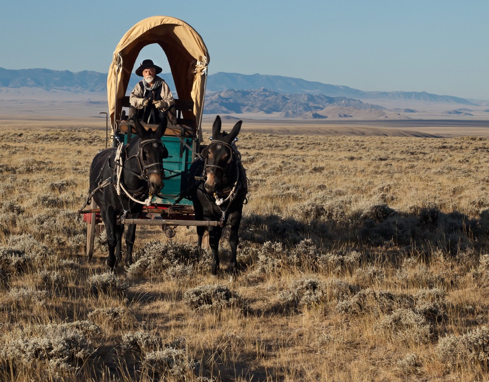 Can the Trail of Tears Teach Us Today? (image credits: wikimedia)