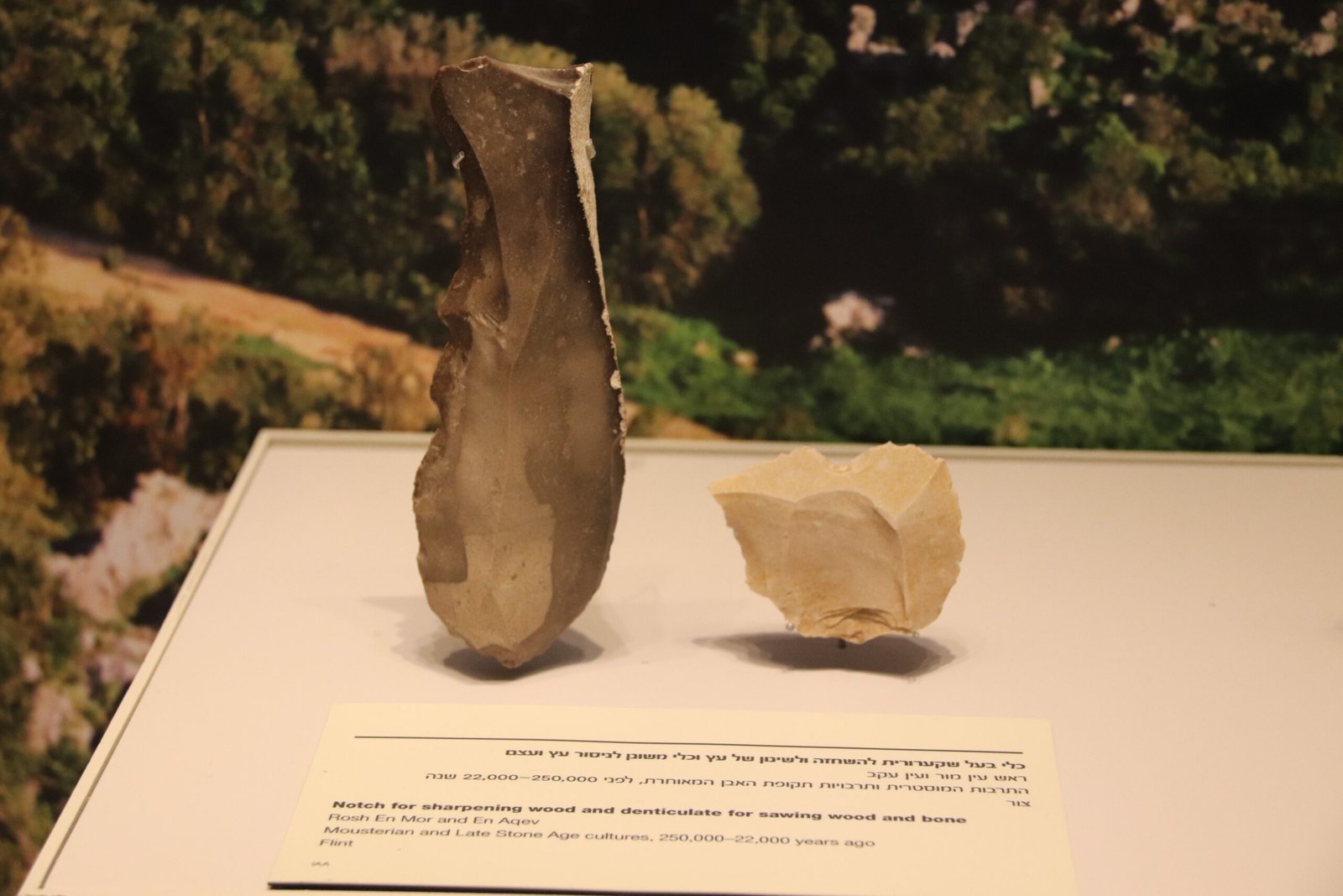 The Science Behind the Stone Age Toolkit (image credits: wikimedia)