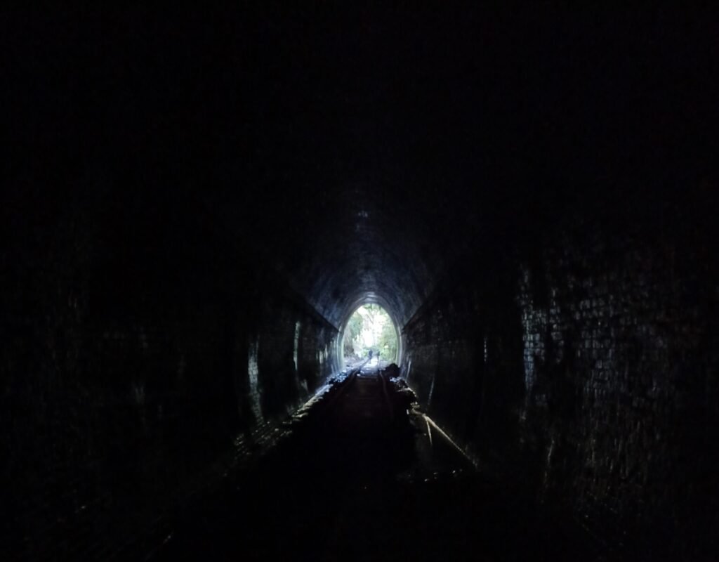 The Role of Glowworms in English Folklore and Culture