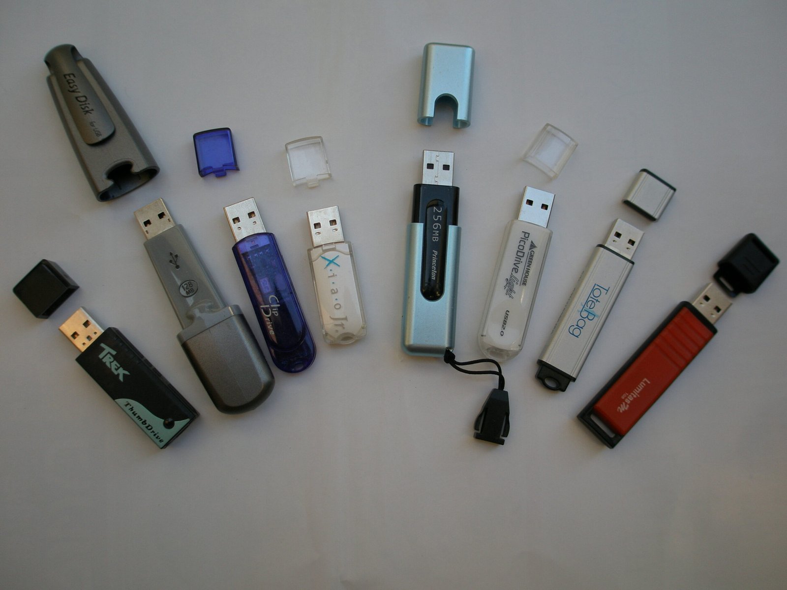 The Future of Grief and Memory (image credits: wikimedia)