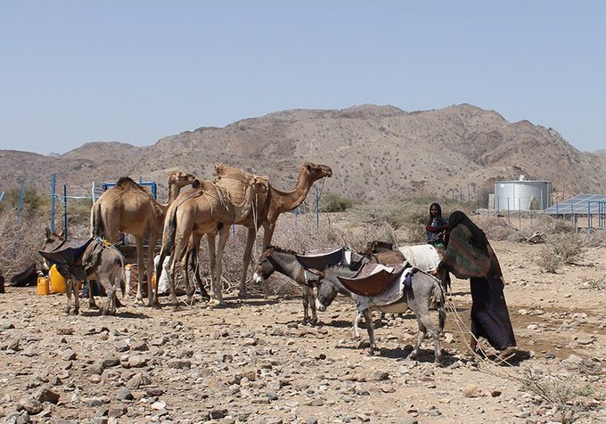 Water Wizards: Thriving on Scarcity (image credits: wikimedia)