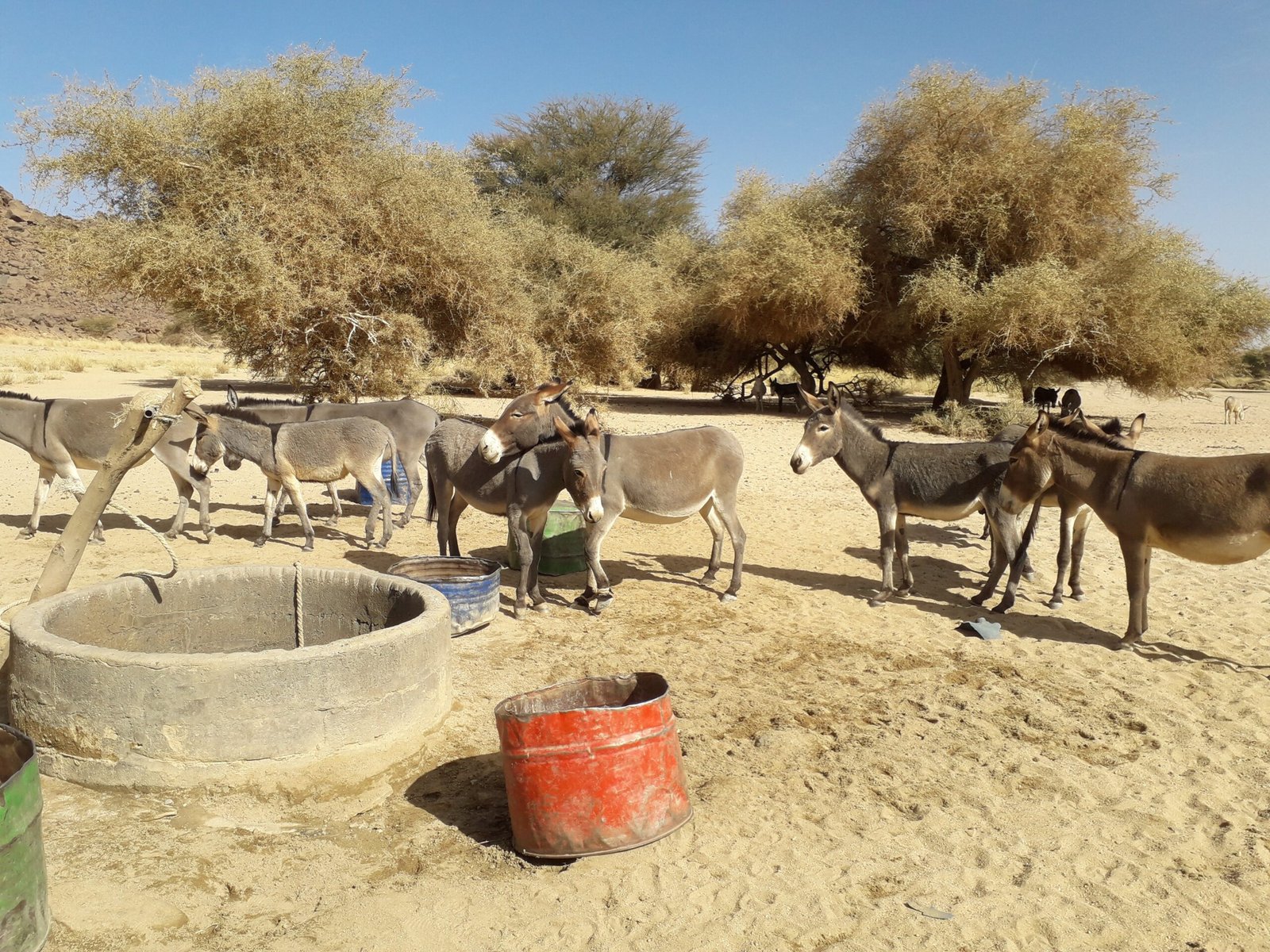 Silent Water Prospectors: Locating Hidden Resources (image credits: wikimedia)