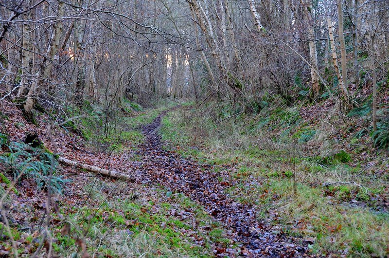 The Overgrown Rails of Pennsylvania’s Coal Country (image credits: wikimedia)