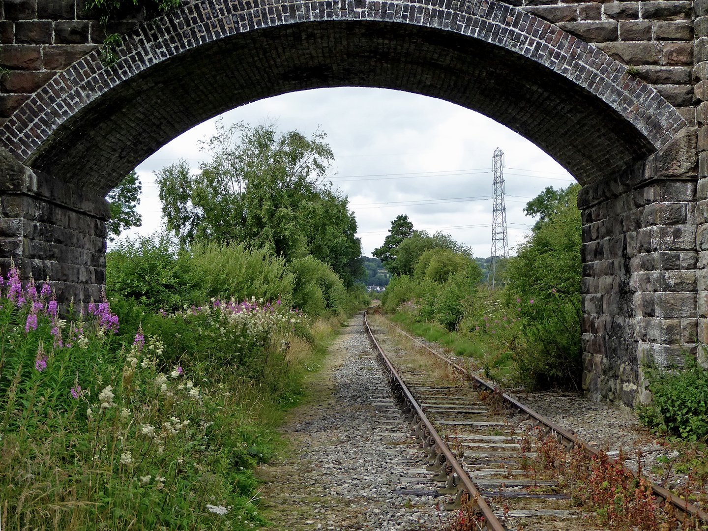 Why These Tracks Matter: Lessons from the Past (image credits: wikimedia)