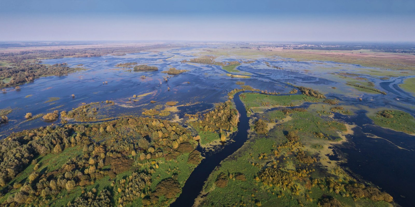 Human Influence and Conservation (image credits: wikimedia)