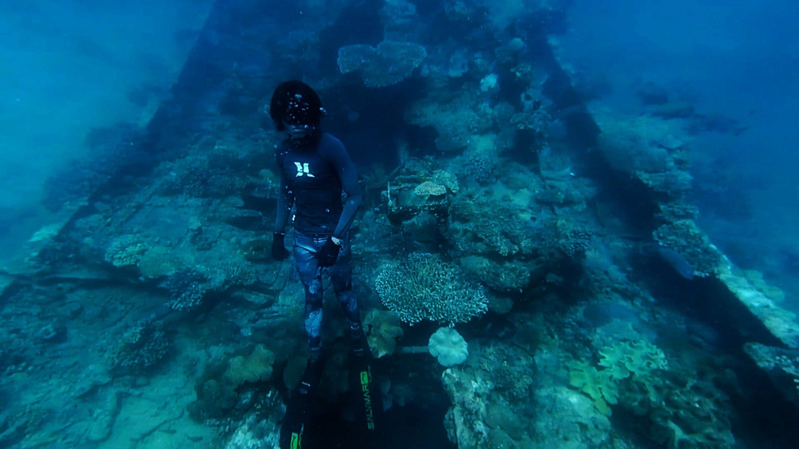 Challenges and Risks of Shipwreck Reefs (image credits: wikimedia)