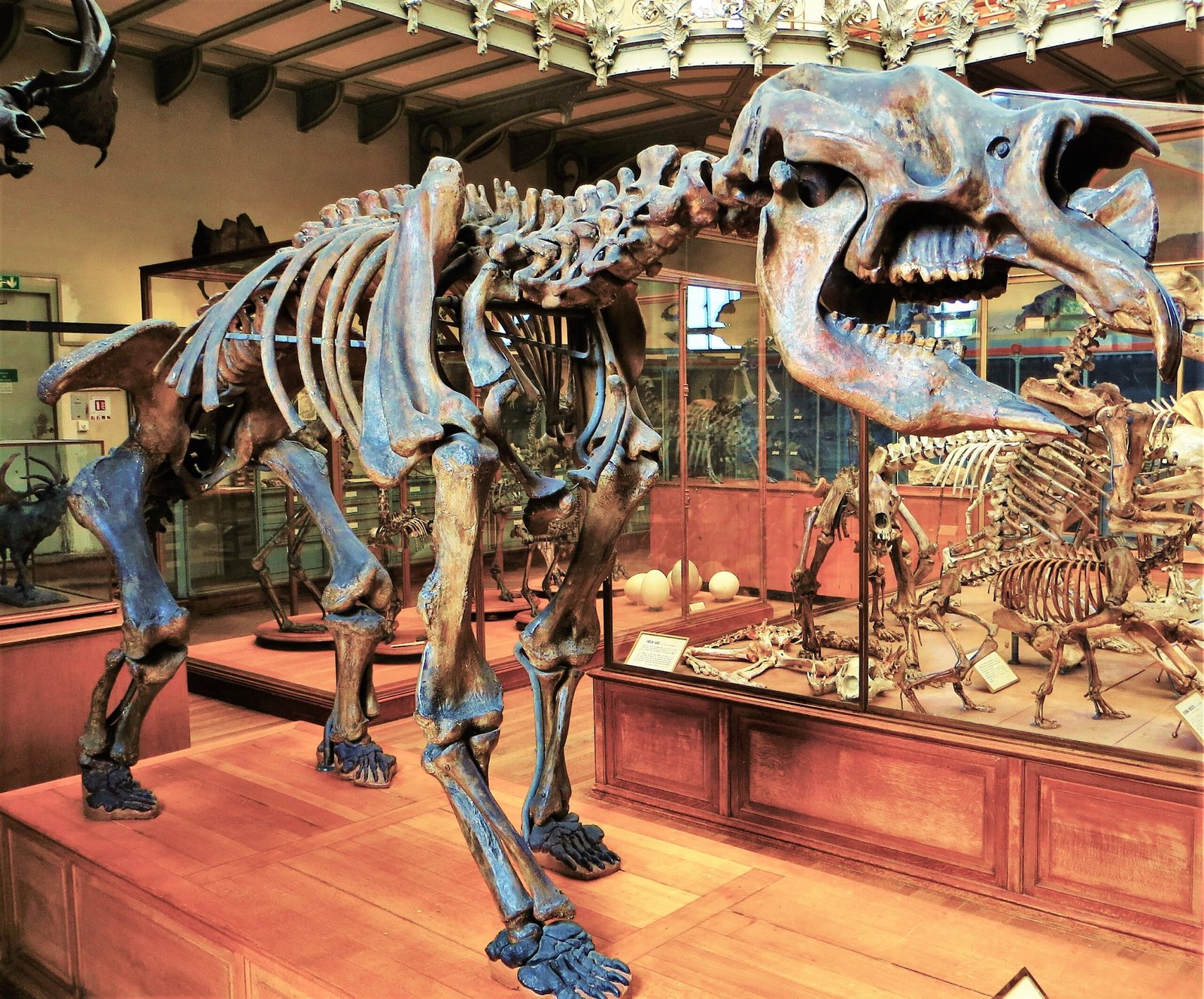 Long Before People, There Was the Thunder Beast (image credits: wikimedia)