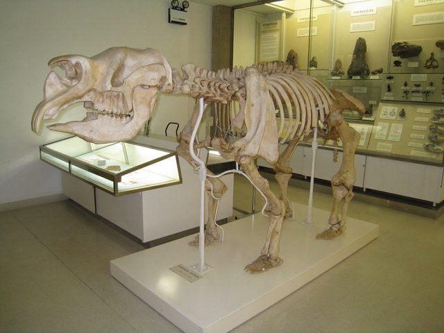 The Diet of a Giant: What Did the Thunder Beast Eat? (image credits: wikimedia)