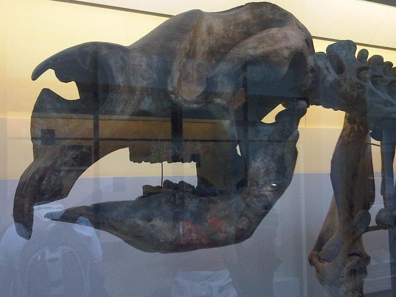 Modern Lessons from Ancient Giants (image credits: wikimedia)