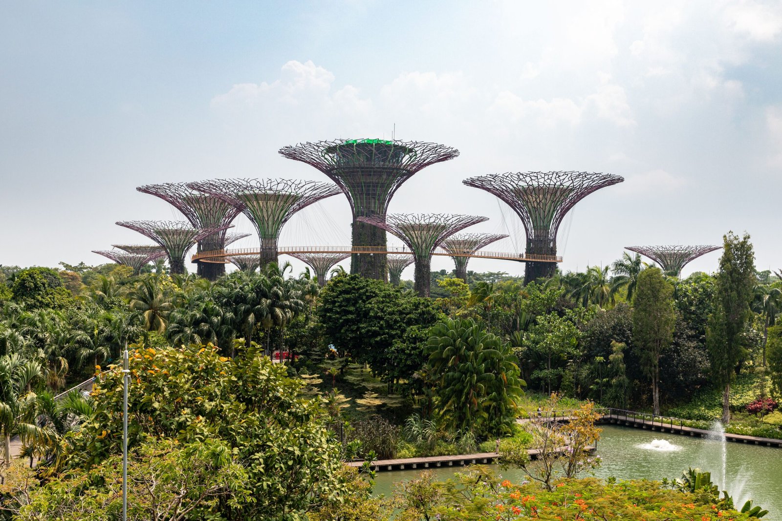 What the World Can Learn from Singapore’s Botanical Revolution (image credits: wikimedia)