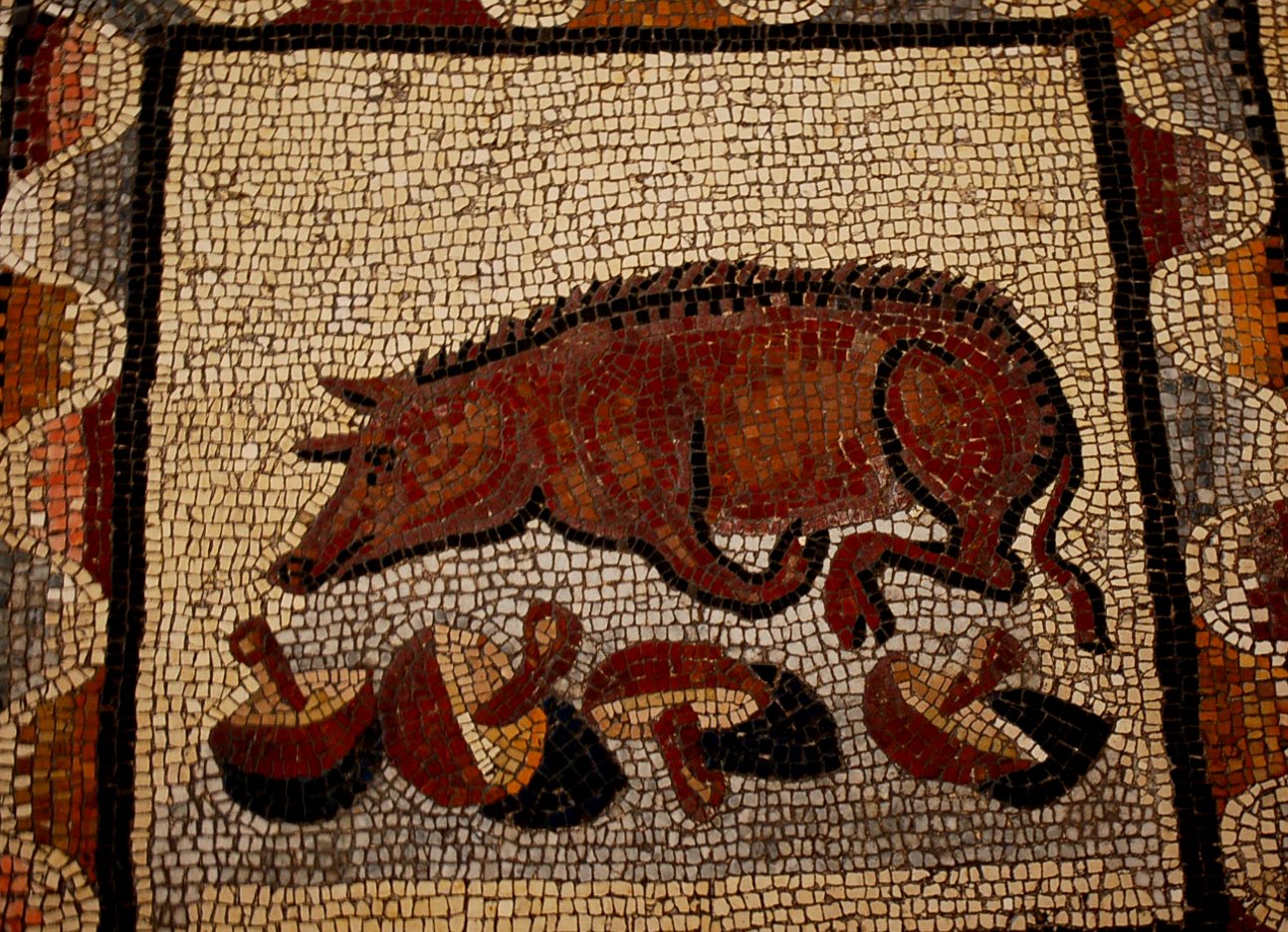 What Did They Eat? (image credits: wikimedia)
