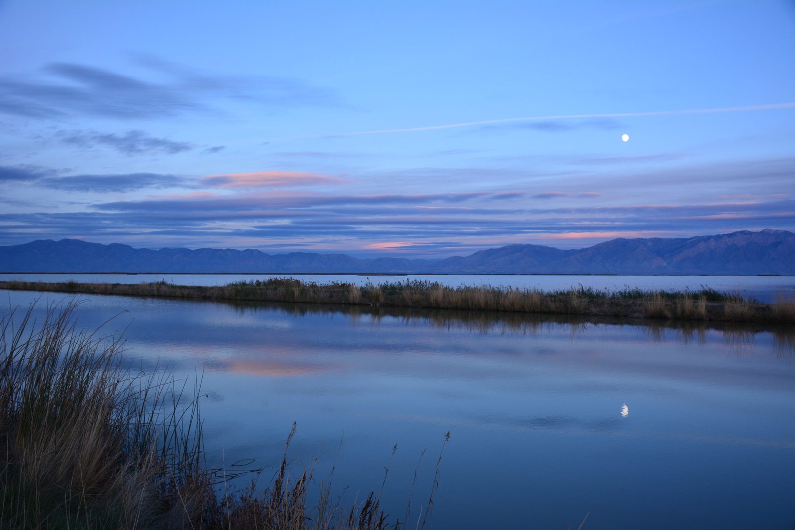 The Nightlife of Tennessee’s Rivers (image credits: wikimedia)