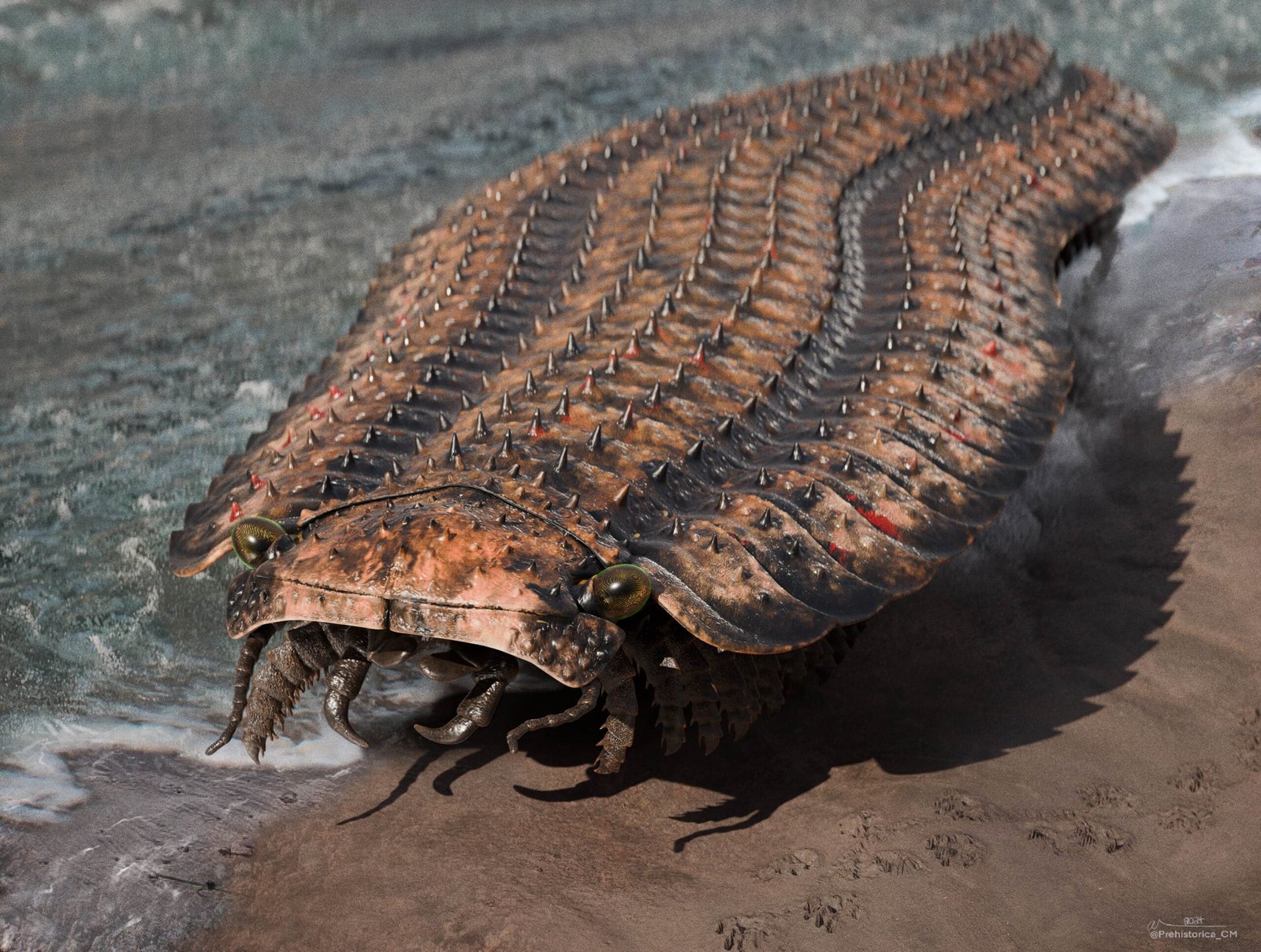 The Colossal Scale of Arthropleura (image credits: wikimedia)
