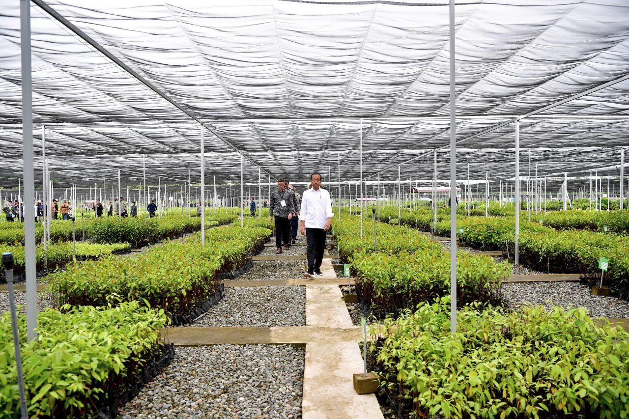 Plants: The Silent Communicators? (image credits: wikimedia)