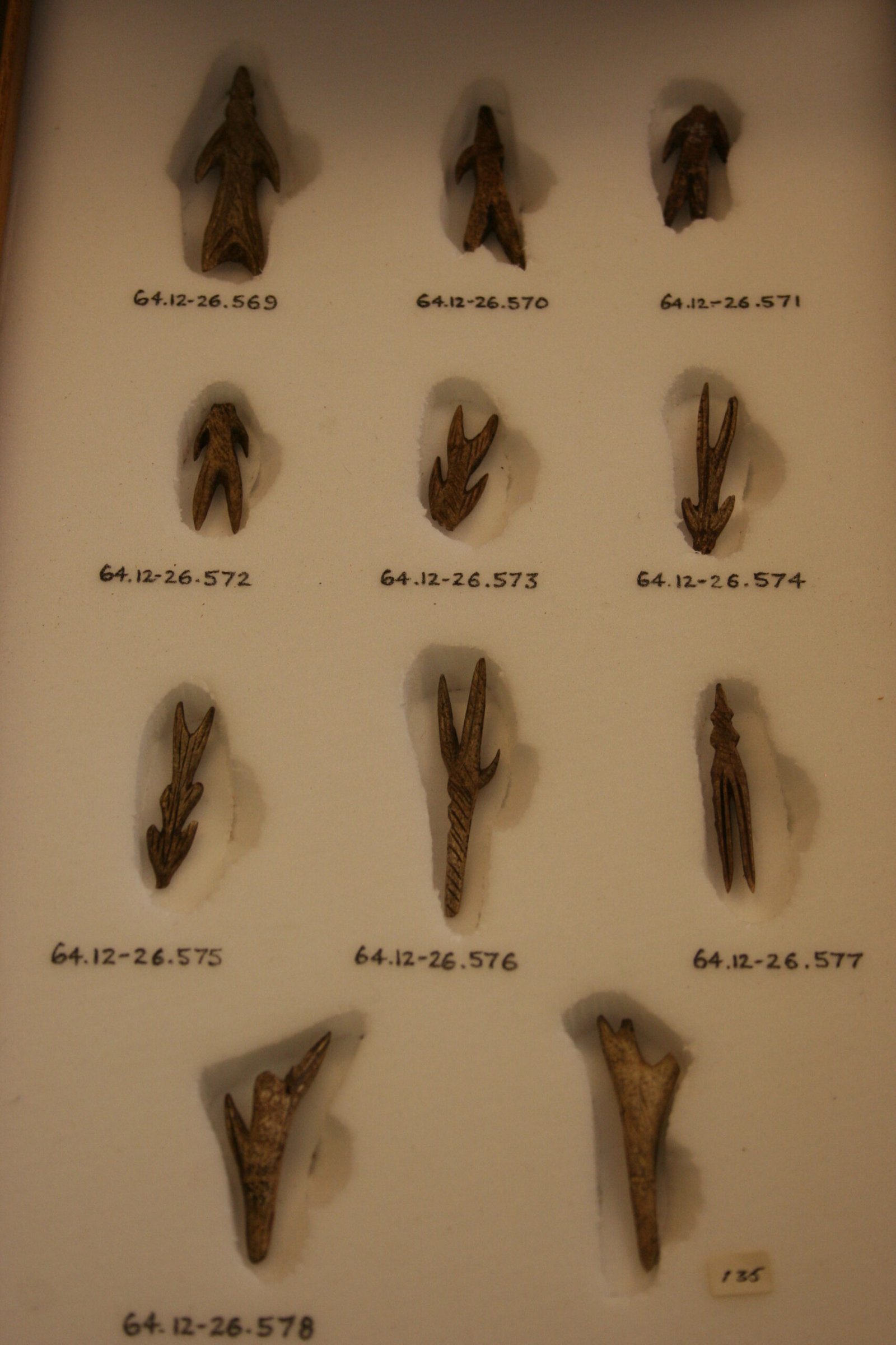 Britain’s Wild Past: A Glimpse Into the Ice Ages (image credits: wikimedia)