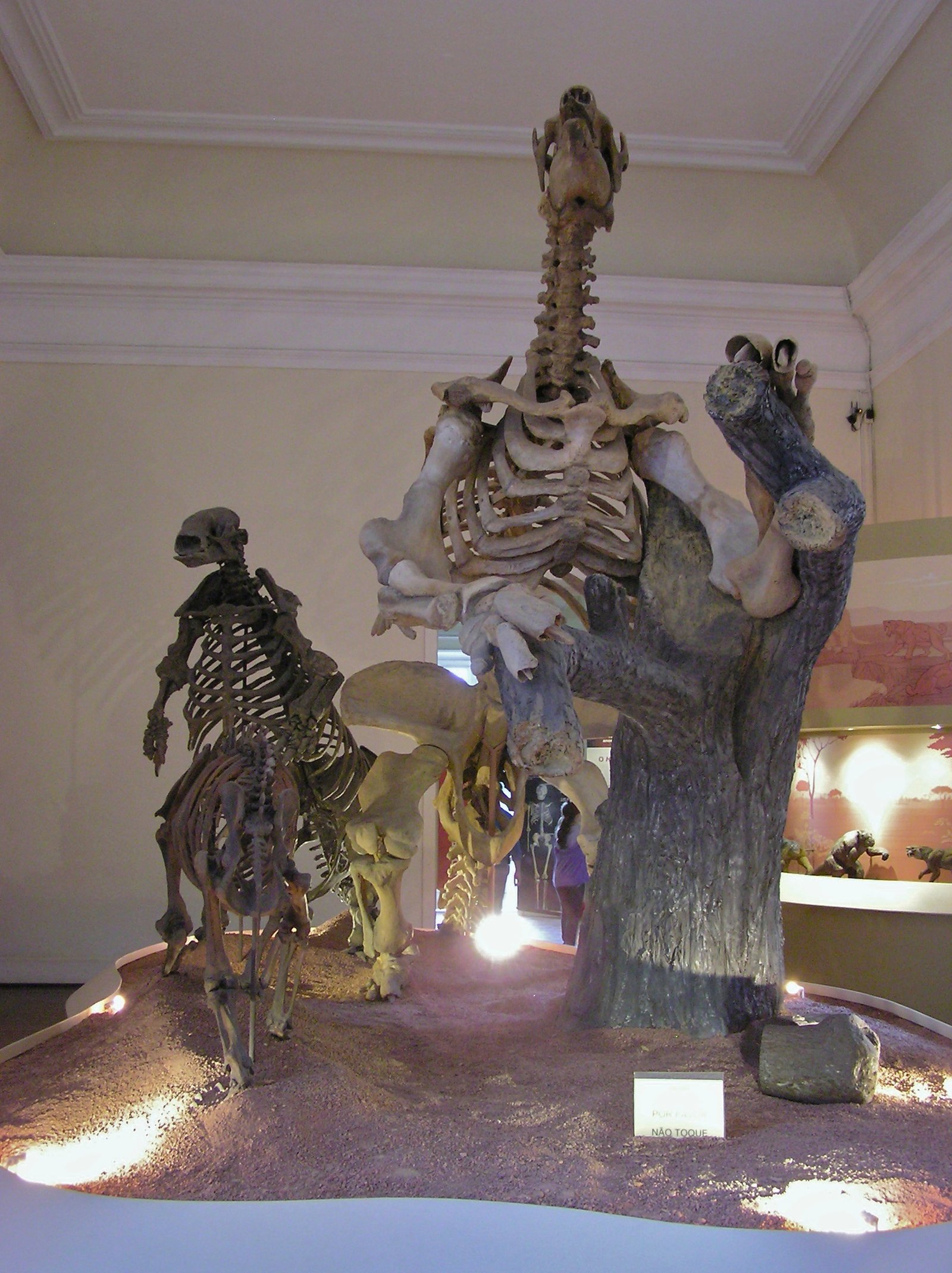 Why Did These Giants Disappear? (image credits: wikimedia)