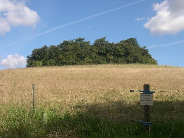 Climate Change and the Power of Adaptation (image credits: wikimedia)